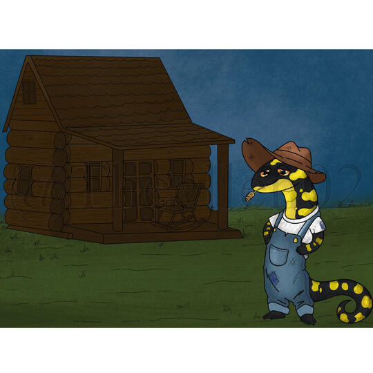 Book Illustration